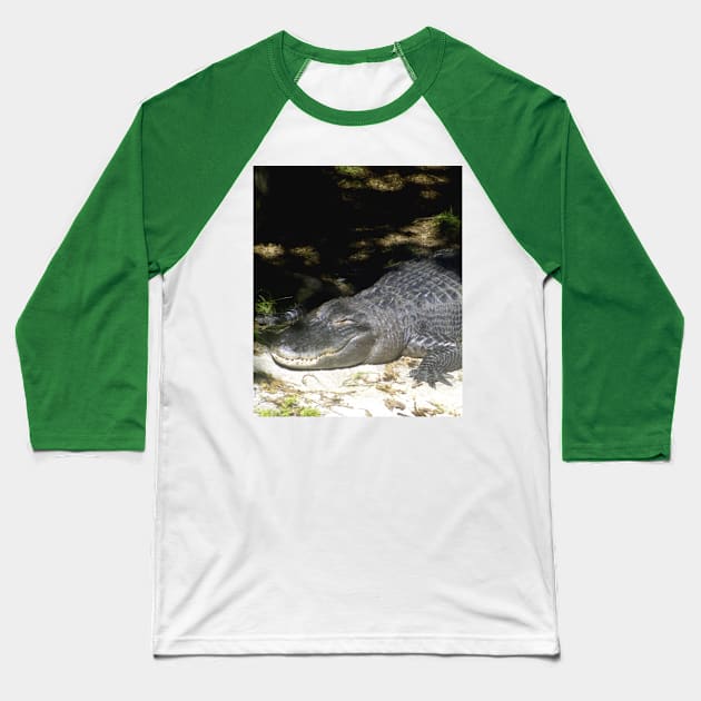 Alligator Sunbathing Baseball T-Shirt by BlakCircleGirl